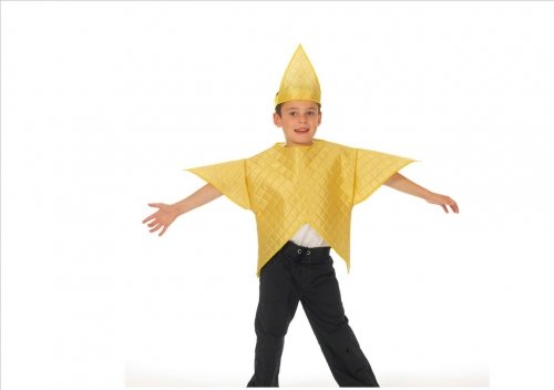 nativity star costumes