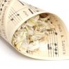 Love Note Confetti Cones x 10 / Musical notes paper
