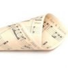 Love Note Confetti Cones x 10 / Musical notes paper - Image 2