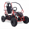 ZINC Electric DUNE BUGGY