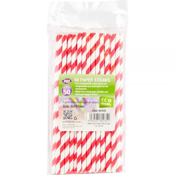 Eco Friendly Red & White Striped Paper Straws- 50