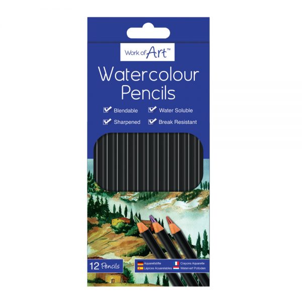 Work of Art Paint Watercolour Pencils ( HALF PRICE SALE )