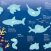 Novelty Shark Christmas Crackers - Image 2