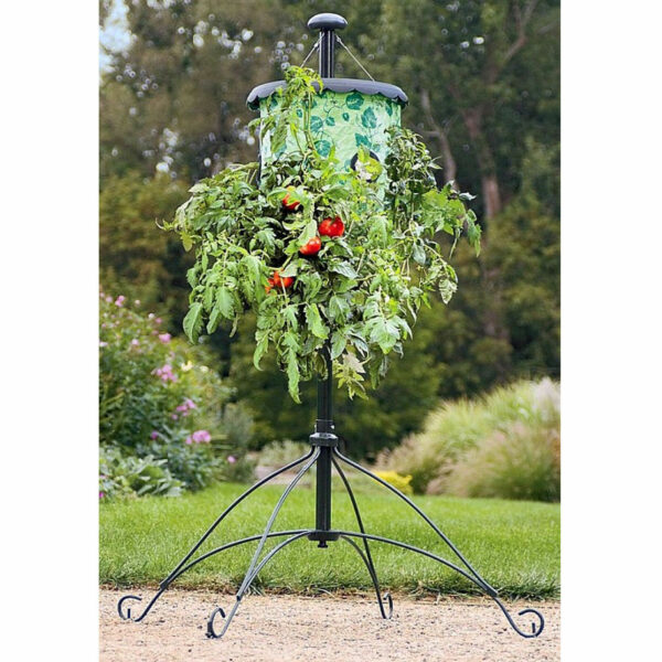 Upside Down Tomato Tree Planter - Image 3