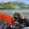 Petromax Cast Iron Dutch Oven 5.5 Litre (Without Legs) - Image 6